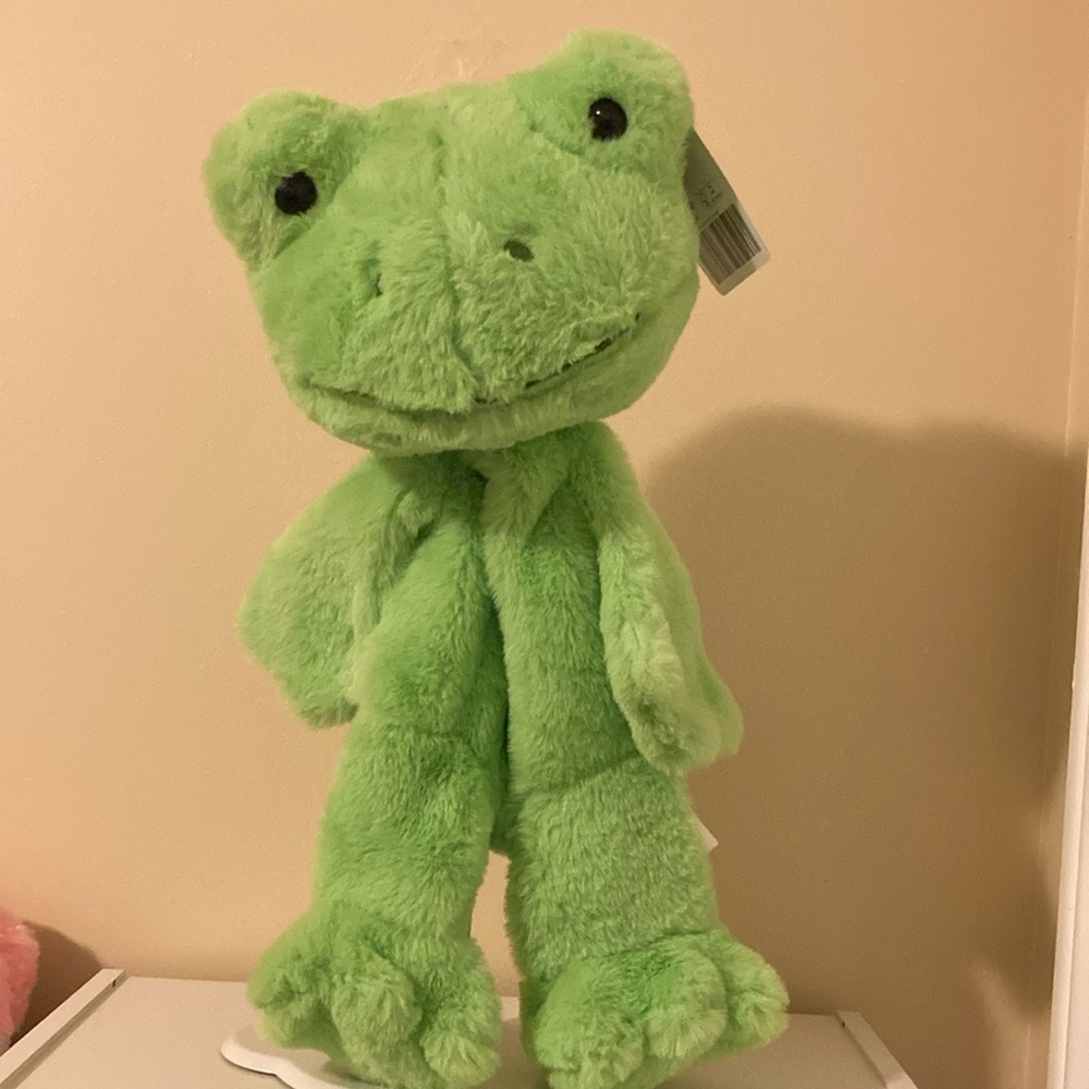 🐸 Brand new with tags - Spring Frog Build a bear - Picture 2 of 8